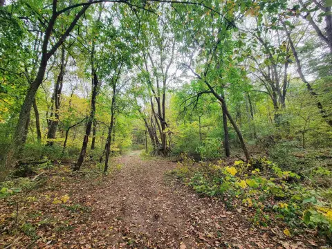 13.88 Acres Wooded Riverfront Land