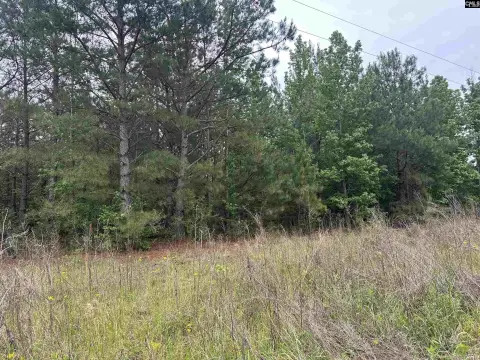 Wooded 5-Acre Lot in Hartsville