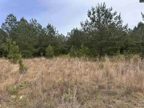 Hartsville Wooded Acreage For Sale
