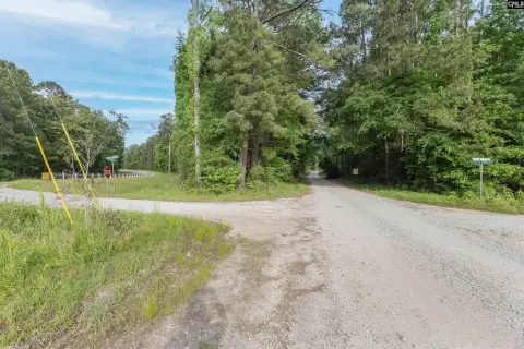 Chapin Acreage: Build Your Dream