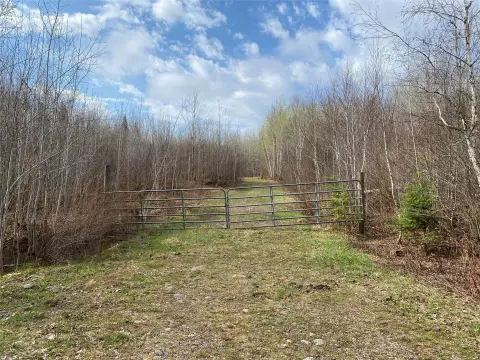 40 Acres in Price County