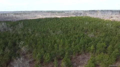 120 Acres Near Troy University