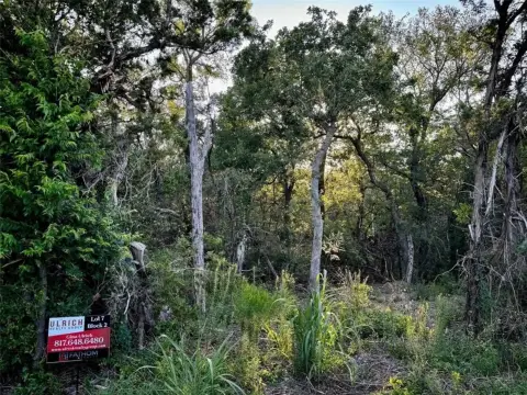 Unimproved Land in Firefly Hollow