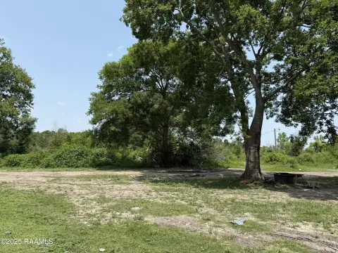 Racehorse Training Property