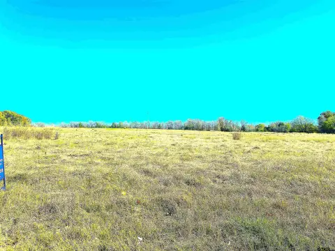 Winnsboro Acreage: Home, Farm, Business