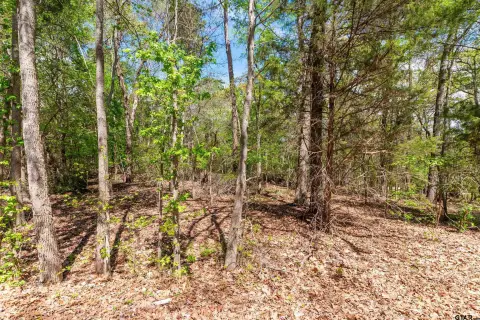 Wooded Lot Near Lake Tyler