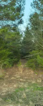 Tyler, TX Rural Acreage