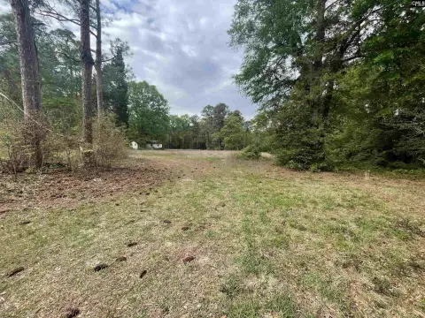 Land in Neeses, South Carolina