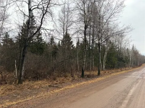Ladysmith, WI Forestland