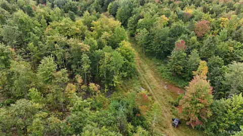 240 Acres of Wilderness Land