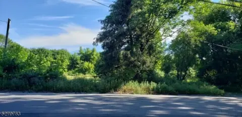 Belvidere Twp. Land For Sale