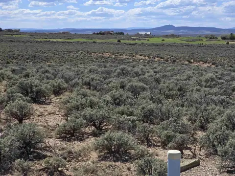 Residential Land Lot with Private Well