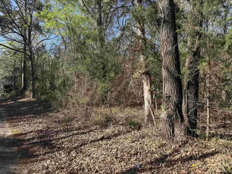 Henderson, TX Rural Acreage
