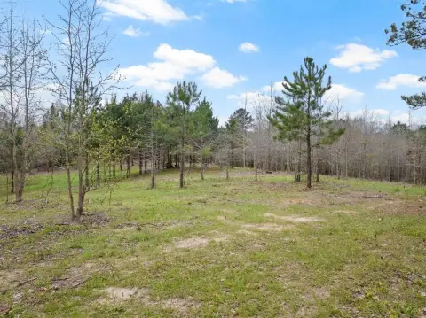 Secluded 20-Acre Hunting Land