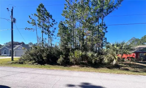 Residential Land in Seminole Woods