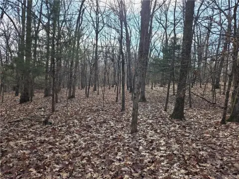 One Acre Wooded Building Lot