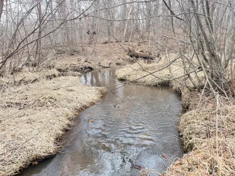 Wooded Land with Trout Creek