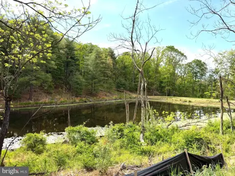 Serene 5-Acre Wooded Lot