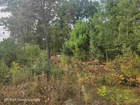 Wooded Lot in Harrison, MI