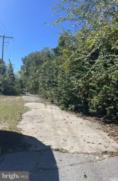 Wooded Commercial Land