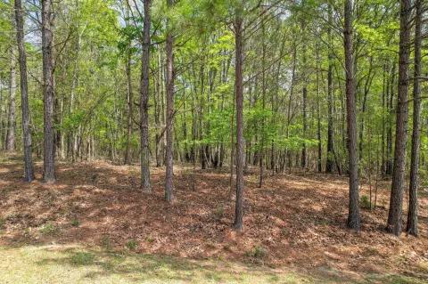 Longleaf Pointe Interior Lot