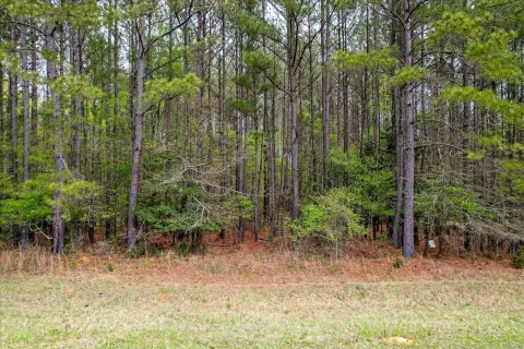 Lincolnton Land Near Lake