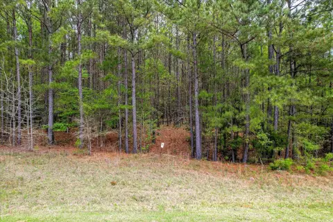 Waterfront Lot in Longleaf Pointe