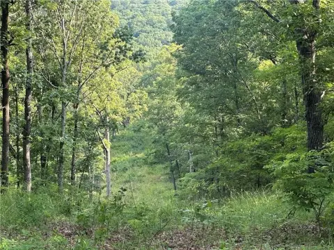 Elkins, AR Mixed-Use Land