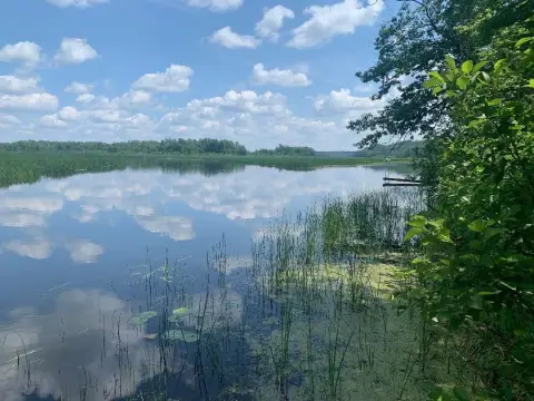 St. Croix Flowage Waterfront Lot