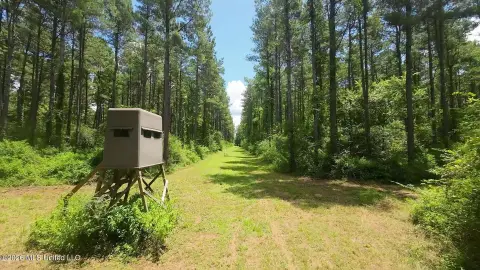 Turnkey Hunting Timber Tract