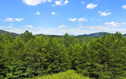 Buildable Lot in Mineral Bluff