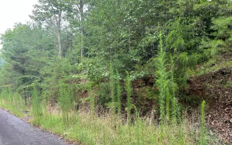 Two Acre Wooded Lot