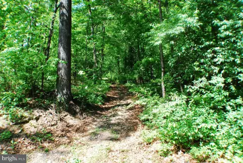 5-Acre Mountain View Land