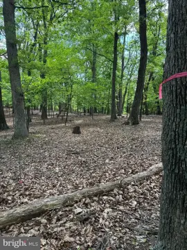 Wooded Recreation Land with Creek Frontage
