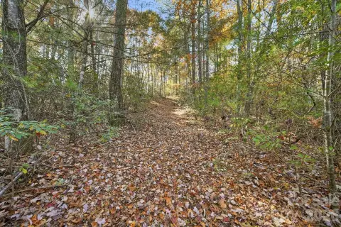 Wooded Mountain Recreation Land