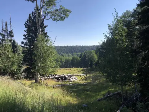 Cleared Level Recreational Home Site