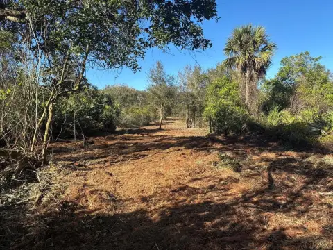 Okeechobee Land For Sale