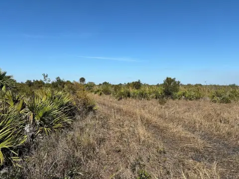 Okeechobee Agricultural Land For Sale