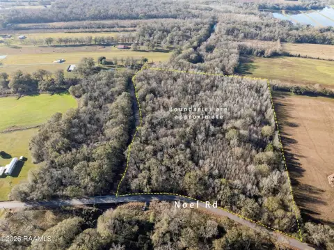 Wooded Recreational Land