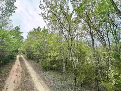 Murchison, TX Wooded Acreage