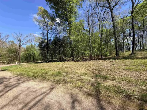 Winnsboro, TX Wooded Corner Lot