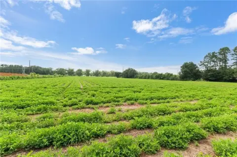 Level Agricultural Land Parcel
