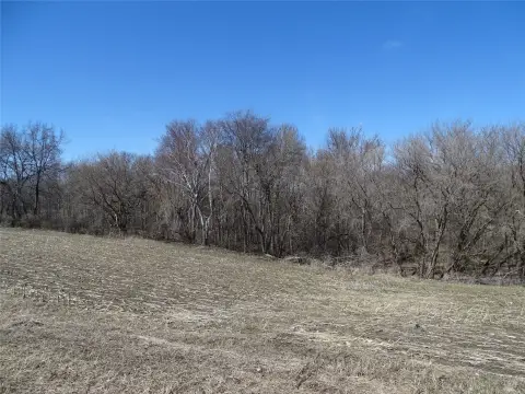 29 Acres of Hunting Land