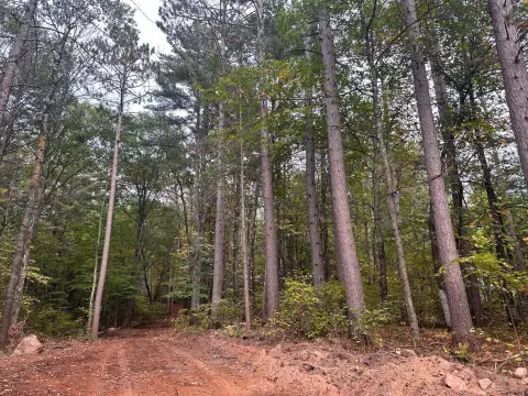 Wooded Lot in Hayward, WI