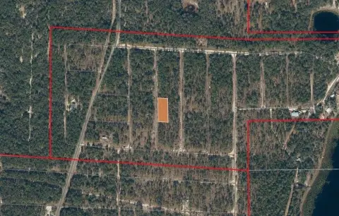 Residential Land in Hawthorne, Florida