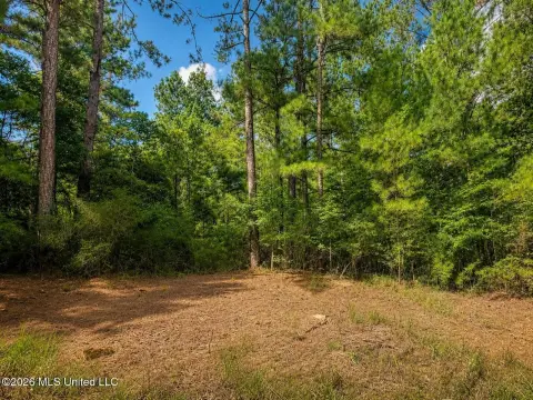 Wooded Tract with Pond Restoration