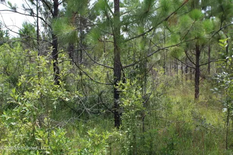 Waterfront Recreation Land Tract