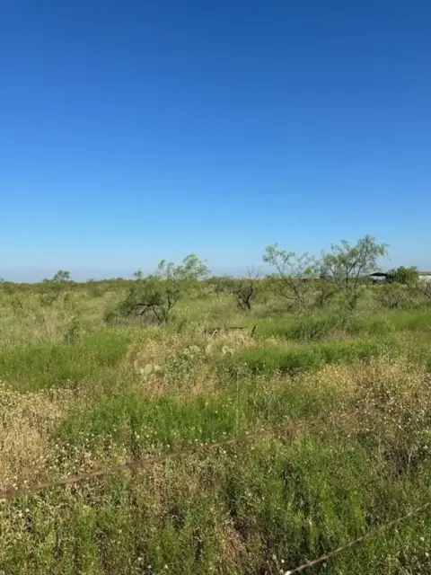 Tranquil Texas Ranch Opportunity