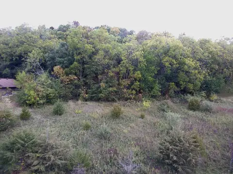 Scenic Wooded Lot in Galena