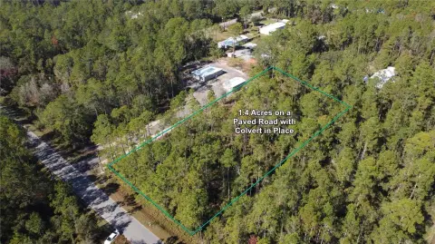 Wooded Lot Near St. Augustine